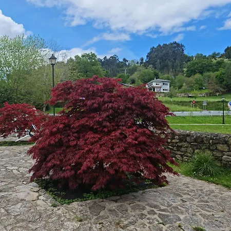 Mozas Del Agua De * Riocorvo