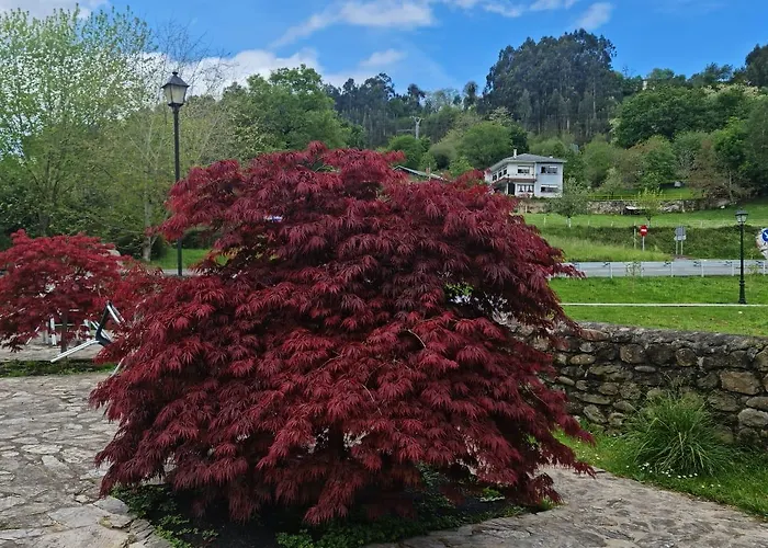 Mozas Del Agua De * Ríocorvo